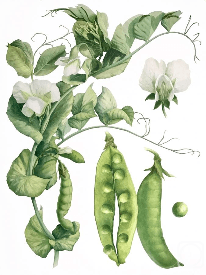 Решение рисунок 4