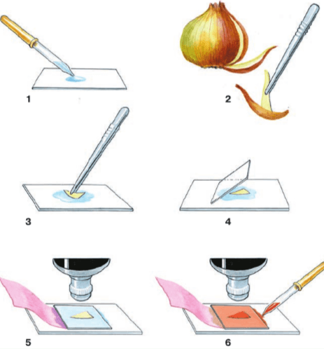 Задание рисунок 1